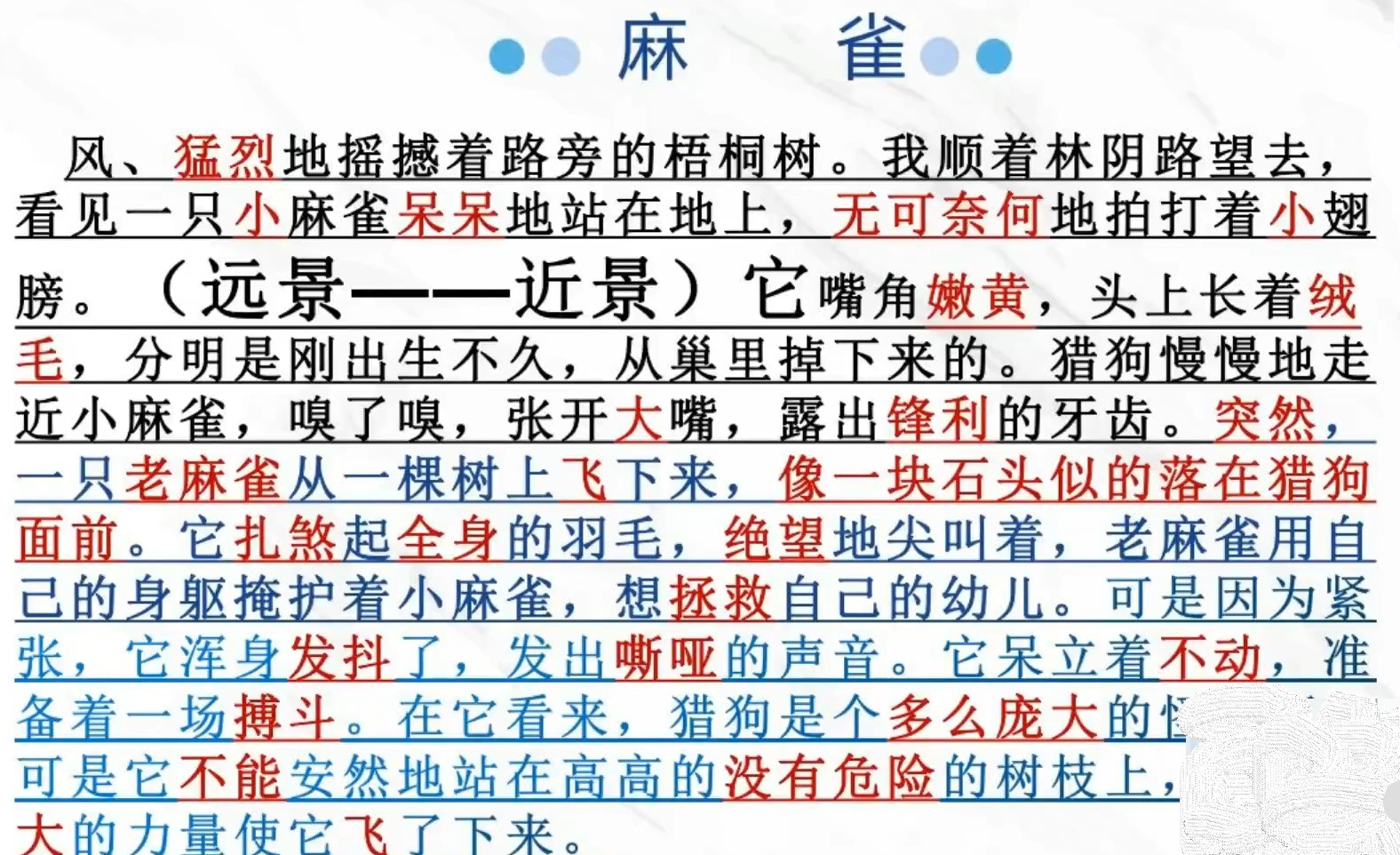 麻雀朗诵参考 发音器官示意图